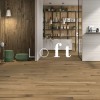 Видеопрезентация коллекции Italon Loft